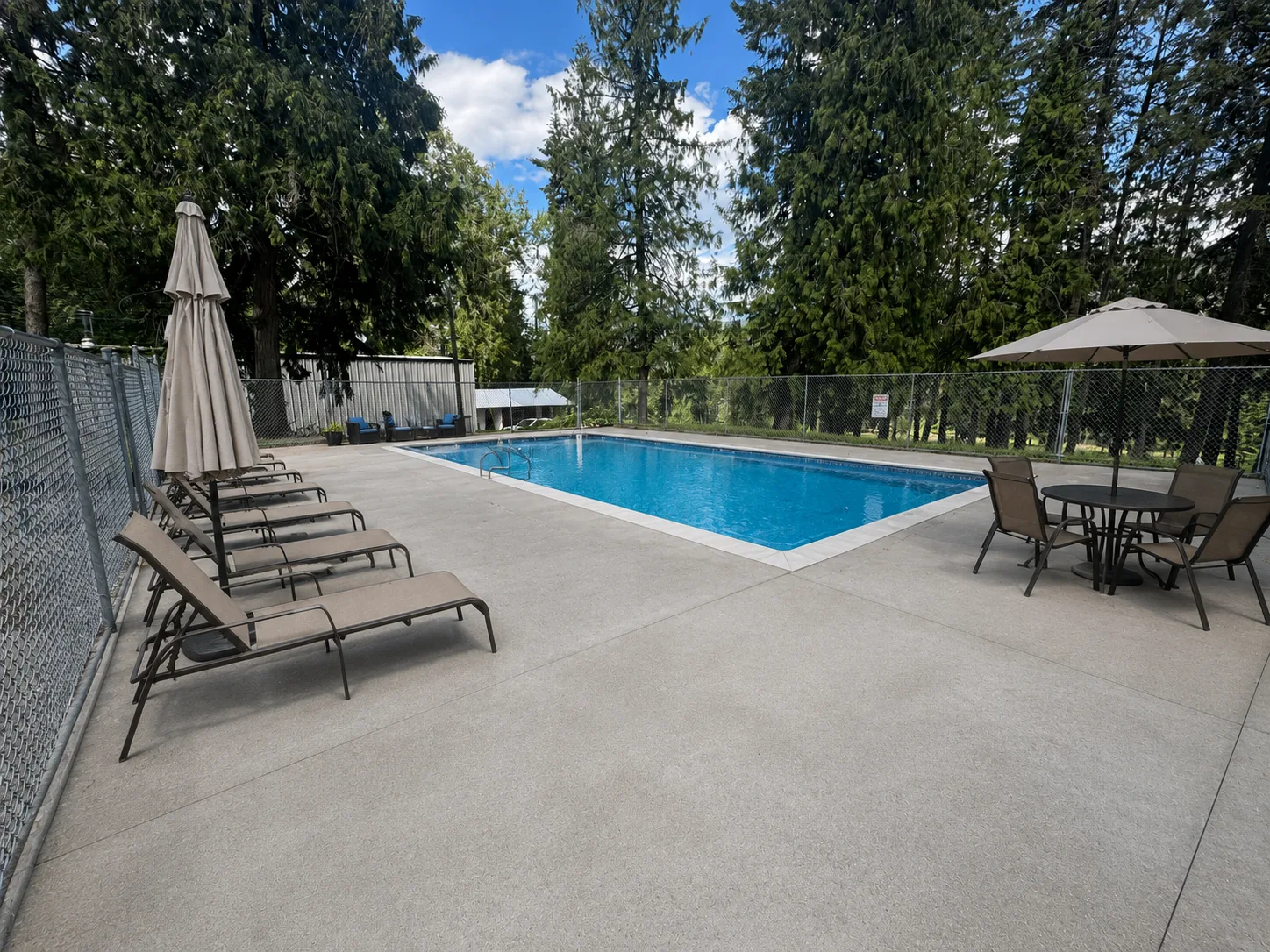 The outdoor pool with loungers and umbrellas, ringed by tall trees