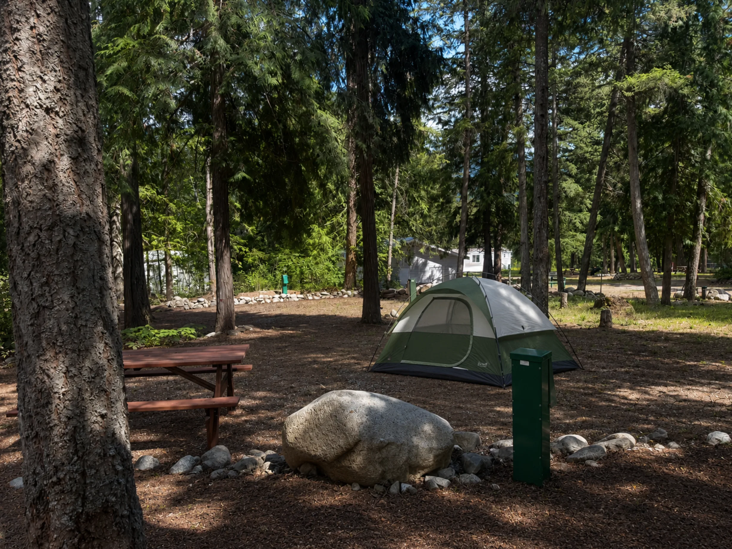 A green tent at a forested site with a picnic table and fire ring